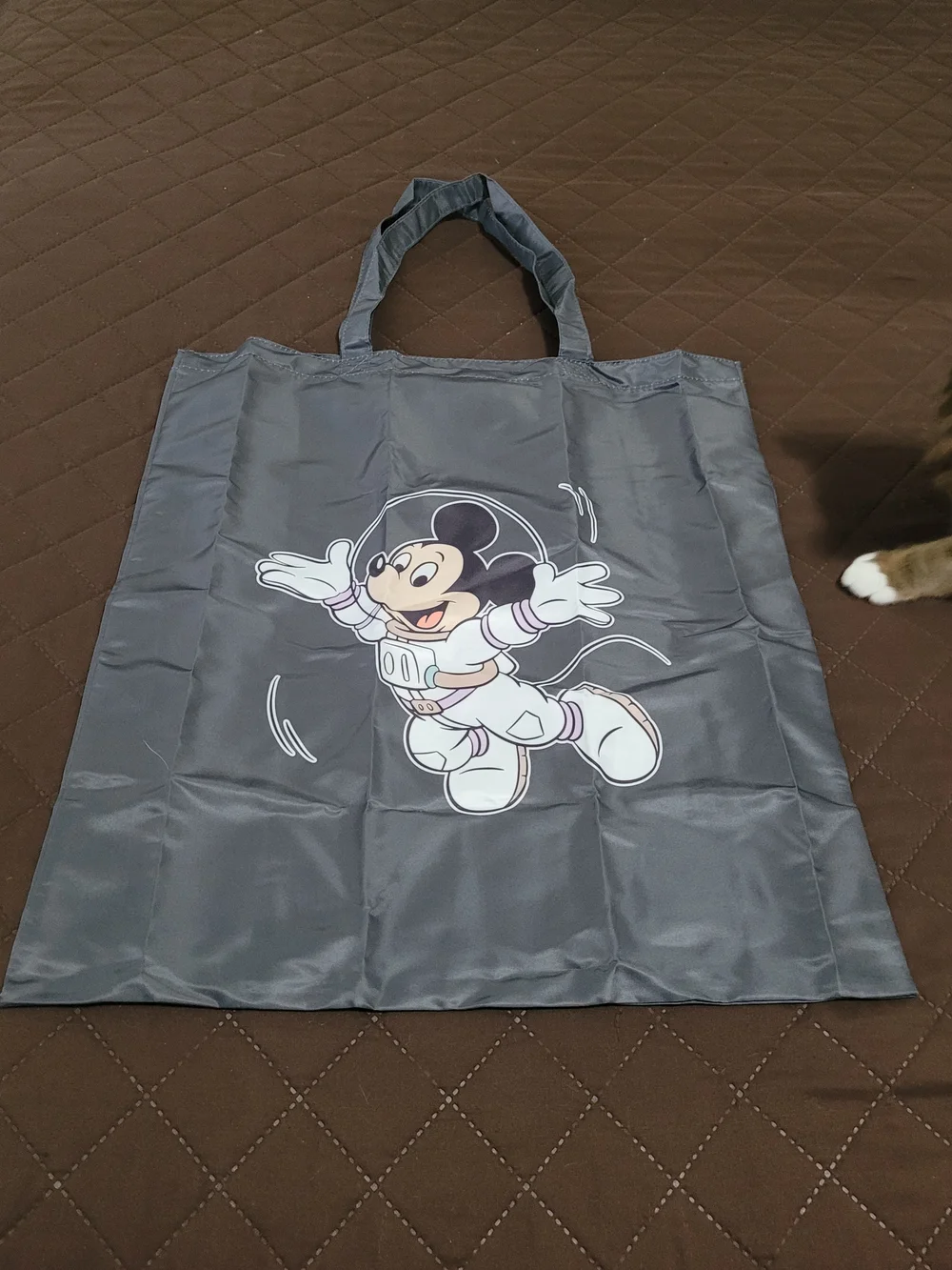 NWT Disney Store Chip 'n' Dale Astronaut Foldable Eco-Bag Pouch Cute Space Japan